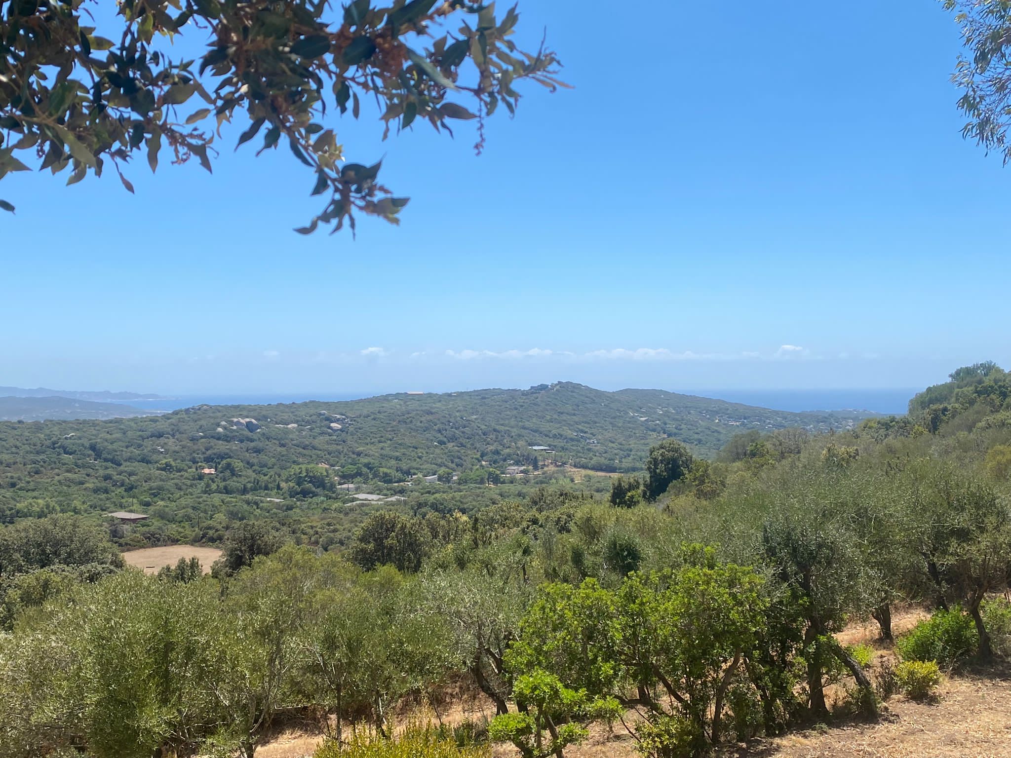 Valle di Corte